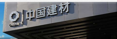 中国建材集团有限公司（印尼分公司）