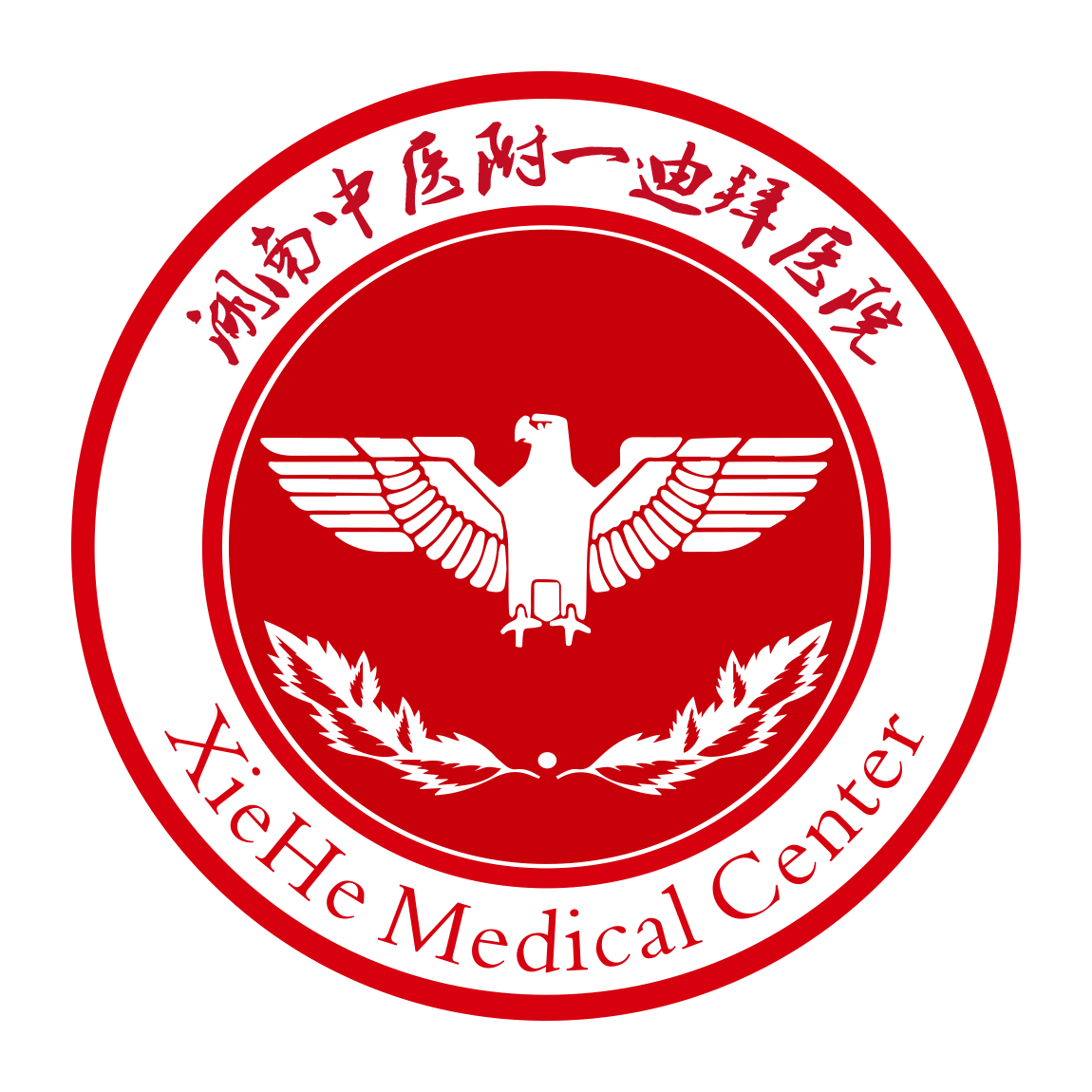 湖南中医附一迪拜医院