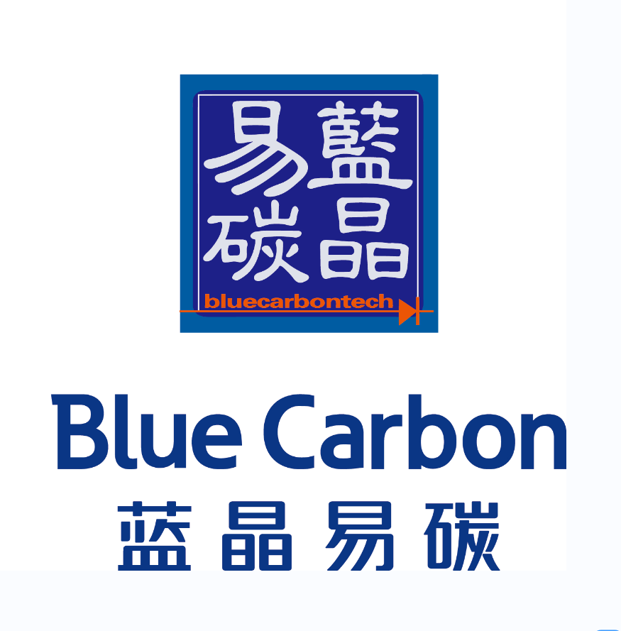 山东蓝晶易碳新能源有限公司