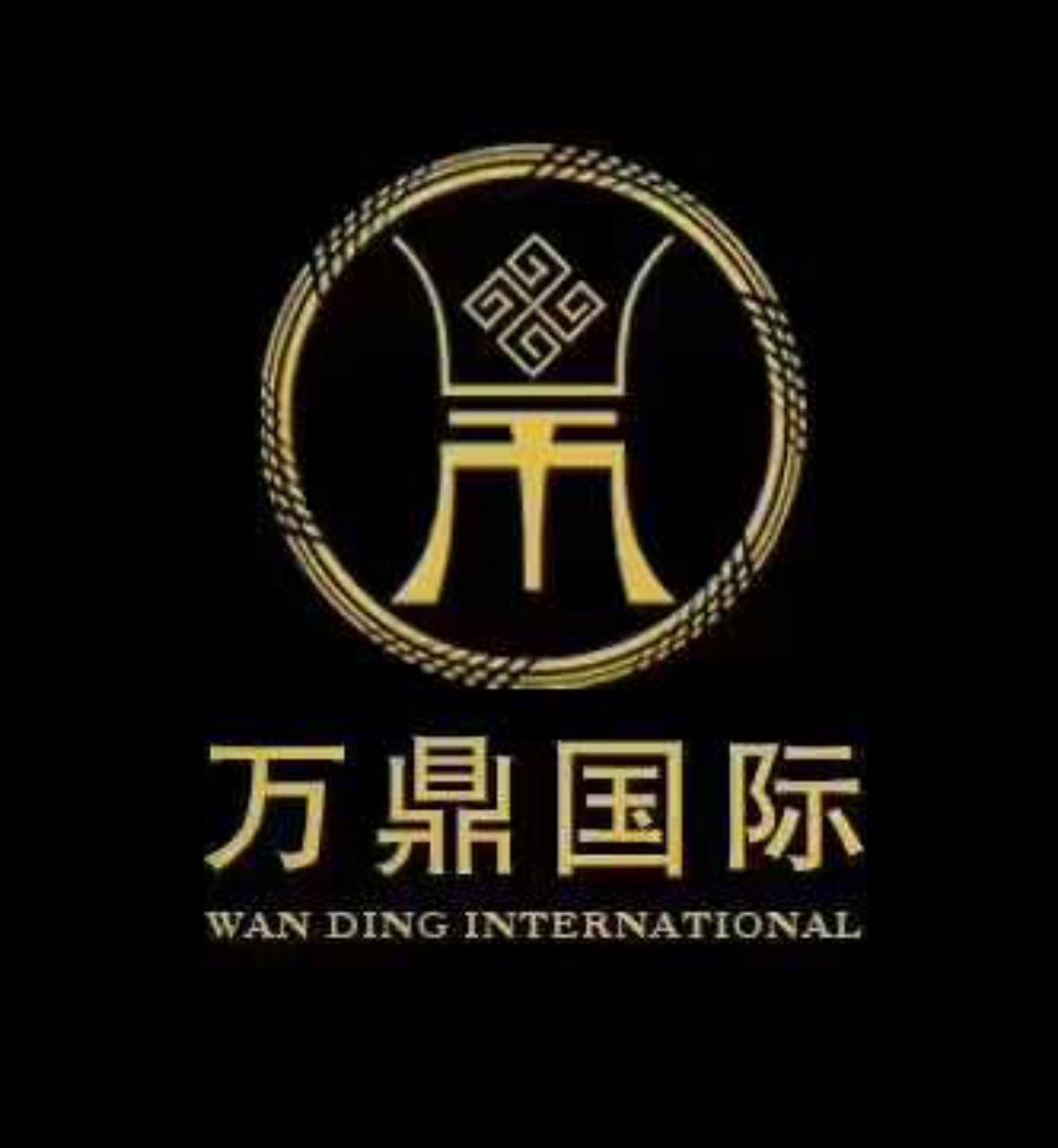 万鼎国际