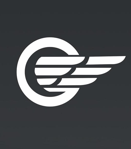 MOTORS