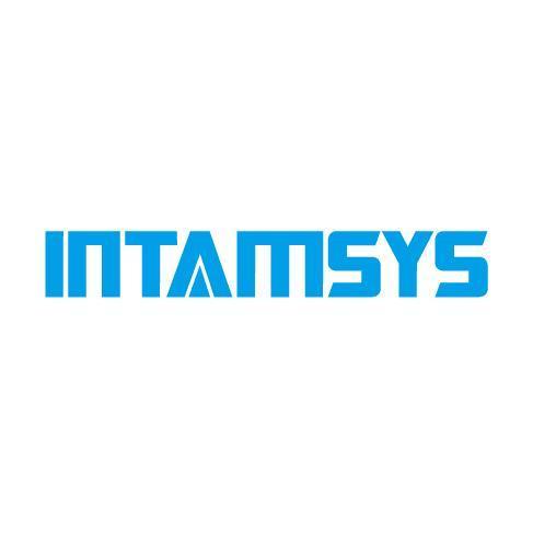 INTAMSYS