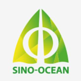 远洋装饰工程股份有限公司