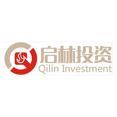 启林投资