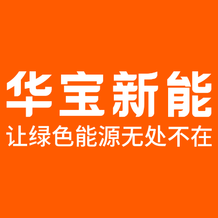 深圳市华宝新能源股份公司