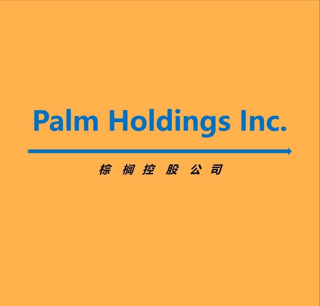 Holdings Inc.