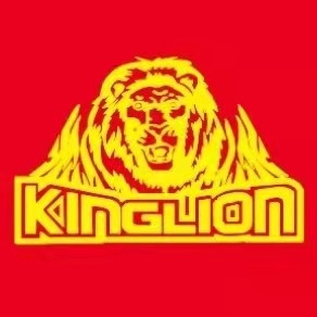 investment company limite