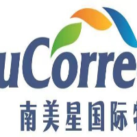 南美星国际物流（深圳）有限公司