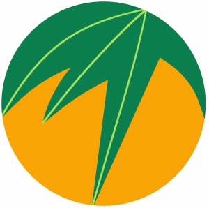 马鞍山市芒果树建筑工程有限公司